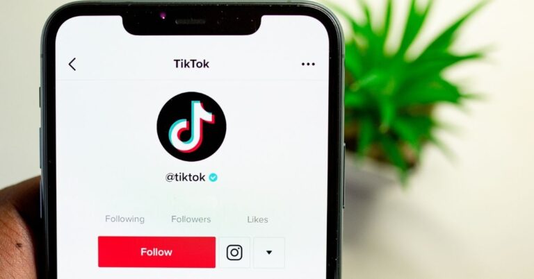 How To Make Money On TikTok In 2022 (5+ Ways To Make Money)